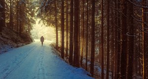 Ein Mann wandert in einem verschneiten Wald